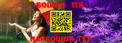 стаф Можга