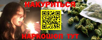 стаф Можга