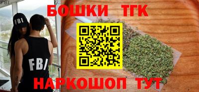 стаф Можга