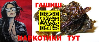 стаф Можга