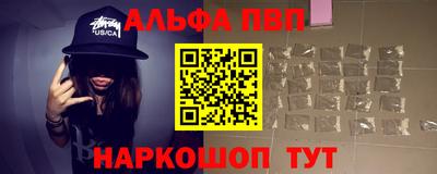 стаф Можга