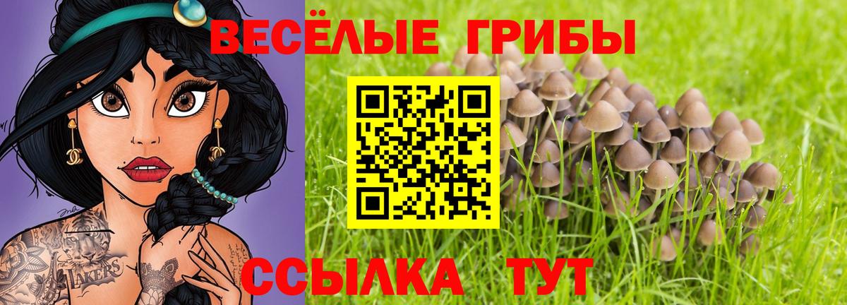 Усть-Джегута  Галлюциногенные грибы Magic Shrooms  Вход с VPN 